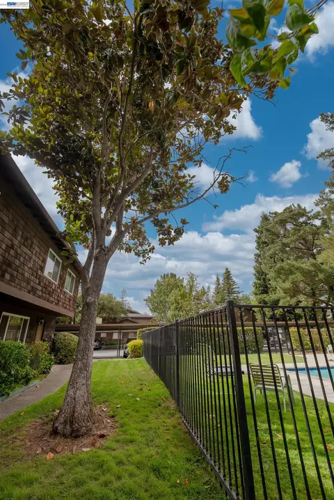 3241 Marlene Dr, Lafayette, CA 94549 photo 34