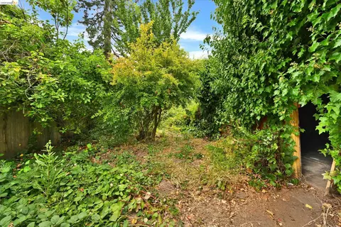 Exterior - 2219 Derby St, Berkeley, CA 94705 photo 7 of 11