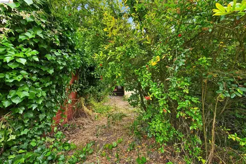 Exterior - 2219 Derby St, Berkeley, CA 94705 photo 6 of 11