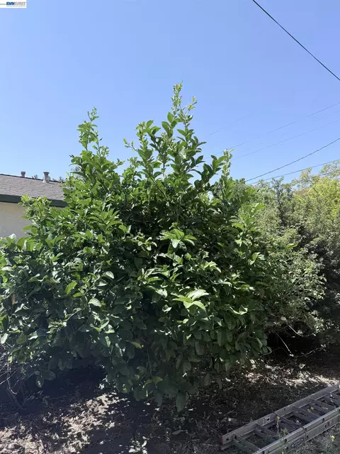 Exterior - 137 Viewmont Ave, Vallejo, CA 94590 photo 16 of 21