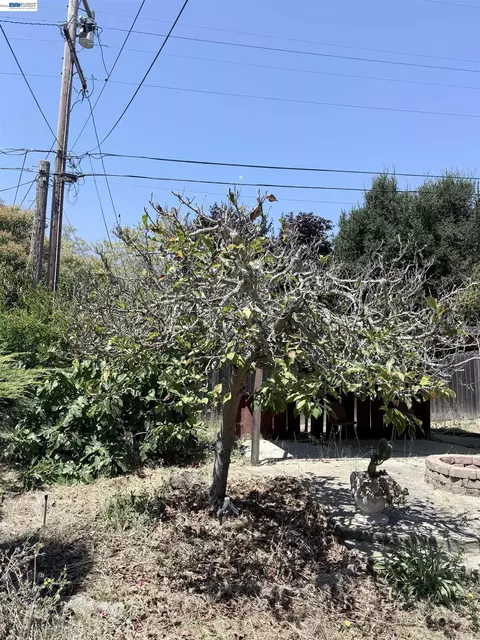 Exterior - 137 Viewmont Ave, Vallejo, CA 94590 photo 17 of 21
