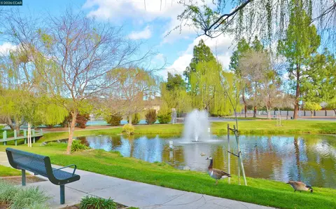 Other - 4608 Deercreek Ln, Concord, CA 94521 photo 18 of 19