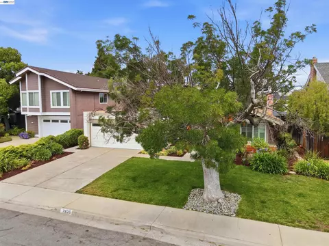 Exterior - 7629 Elderwood Ct, Cupertino, CA 95014 photo 16 of 16