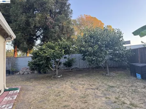 Exterior - 1603 Morgan St, Mountain View, CA 94043 photo 12 of 20