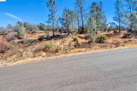 4462 Fremonts Loop, Rescue, CA 95672 photo 11