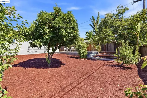 Exterior - 115 S Gadsden Dr, Milpitas, CA 95035 photo 9 of 9