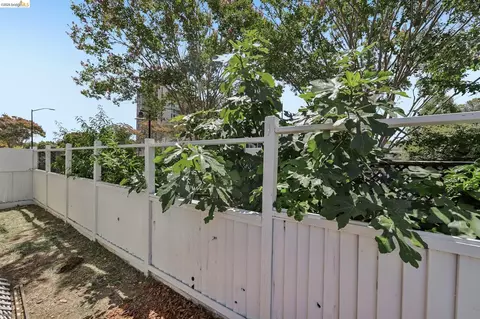 Exterior - 807 Myrtle St, Oakland, CA 94607 photo 7 of 8