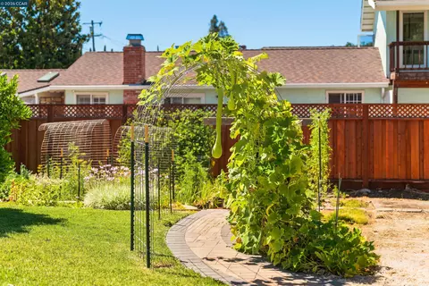 Exterior - 3644 Walnut Ave, Concord, CA 94519 photo 12 of 12