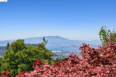 View/Area - 813 San Diego Rd, Berkeley, CA 94707 photo 7 of 8