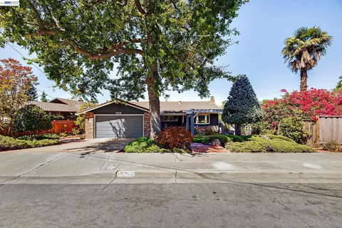 Exterior - 2525 Bruce Dr, Fremont, CA 94539 photo 19 of 20