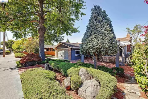Exterior - 2525 Bruce Dr, Fremont, CA 94539 photo 20 of 20