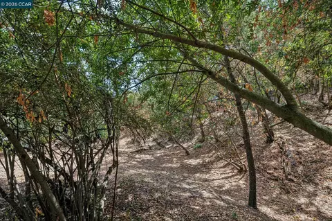 Ridge Road, Lafayette, CA 94549 photo 6