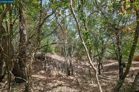 Ridge Road, Lafayette, CA 94549 photo 15