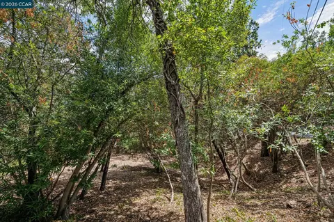 Ridge Road, Lafayette, CA 94549 photo 16
