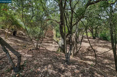 Ridge Road, Lafayette, CA 94549 photo 14