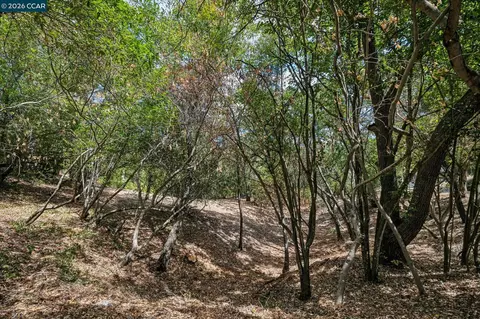 Ridge Road, Lafayette, CA 94549 photo 13
