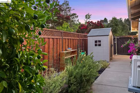 Exterior - 1235 Larch Ave, Moraga, CA 94556 photo 8 of 10