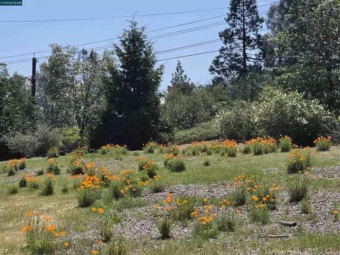 Other - 5184 Darby Russell Rd, Murphys, CA 95247 photo 11 of 11