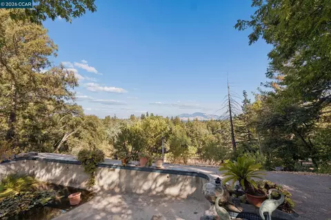Other - 834 Carter Acres Ln, Martinez, CA 94553 photo 7 of 10