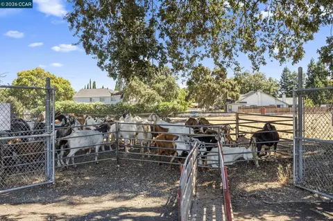 Exterior - 1320 Hookston Rd, Concord, CA 94518 photo 7 of 8