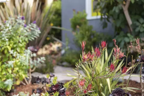 Exterior - 1905 Chestnut St, Berkeley, CA 94702 photo 2 of 10