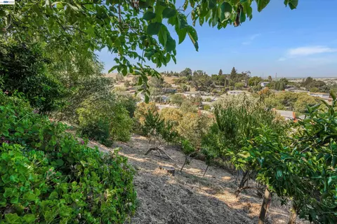 Other - 327 Kingston Ave, Martinez, CA 94553 photo 9 of 11
