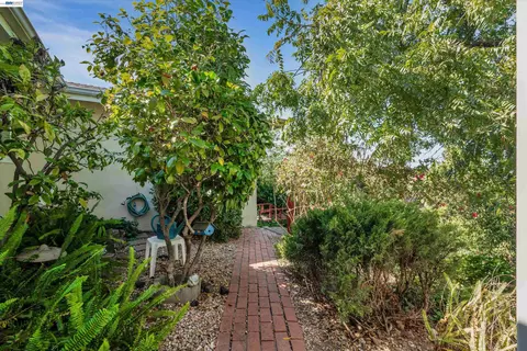 Exterior - 327 Kingston Ave, Martinez, CA 94553 photo 8 of 16