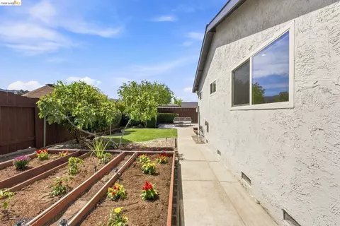 Exterior - 509 Junipero St, Pleasanton, CA 94566 photo 11 of 13