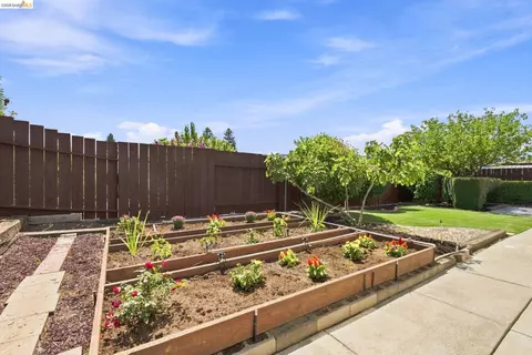 Exterior - 509 Junipero St, Pleasanton, CA 94566 photo 10 of 13