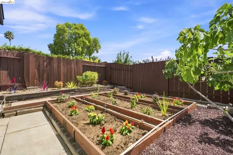 Exterior - 509 Junipero St, Pleasanton, CA 94566 photo 9 of 13