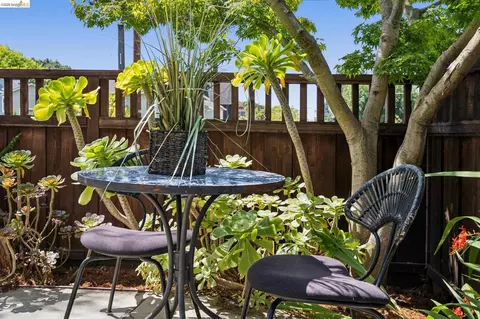 Other - 1701 Derby St, Berkeley, CA 94703 photo 9 of 9