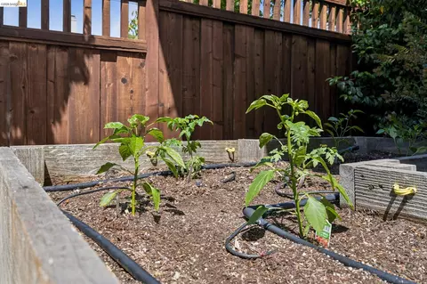 Exterior - 1701 Derby St, Berkeley, CA 94703 photo 9 of 9