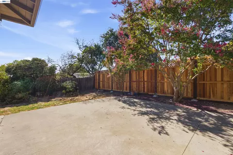 Exterior - 1243 Temple Dr, Pacheco, CA 94553 photo 5 of 8
