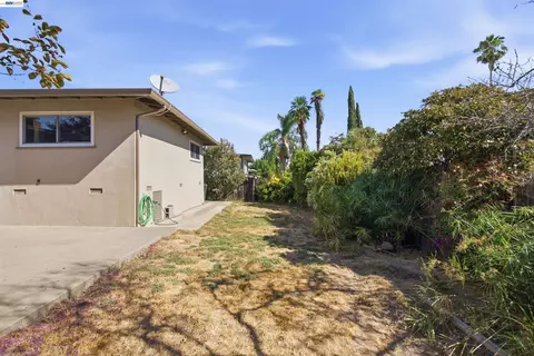 Exterior - 1243 Temple Dr, Pacheco, CA 94553 photo 3 of 8