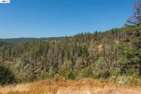 320 Lakeview Ter, Lewiston, CA 96052 photo 28