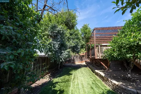 Exterior - 335 Scott St, Livermore, CA 94551 photo 7 of 14