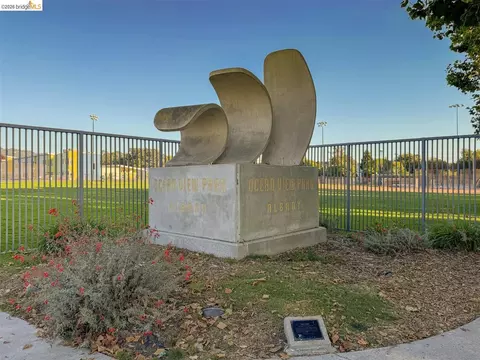 Other - 873 Hillside Ave, Albany, CA 94706 photo 11 of 15