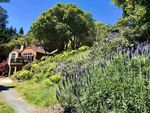 7039 Buckingham Blvd, Berkeley, CA 94705 photo 2