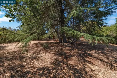Exterior - 4848 Venner Rd, Martinez, CA 94553 photo 13 of 29