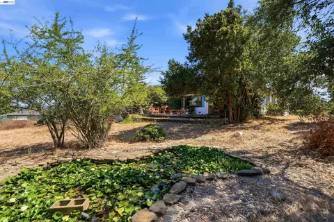 Exterior - 4618 Ewing Rd, Castro Valley, CA 94546 photo 8 of 20