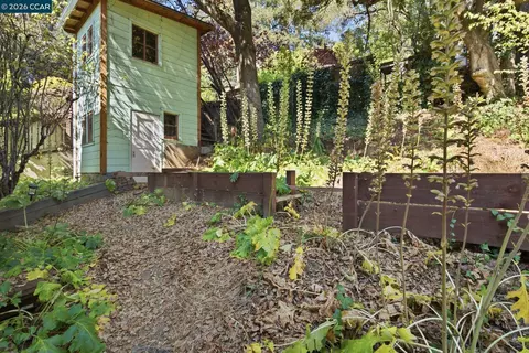 Exterior - 1683 La Loma Ave, Berkeley, CA 94709 photo 9 of 13