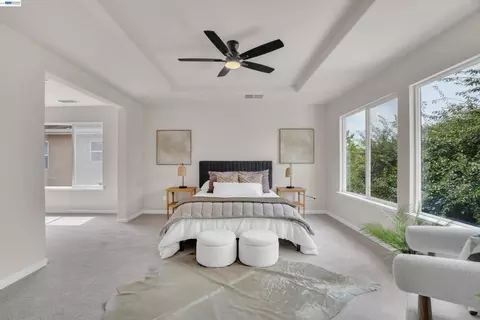 Other - 13253 Emerald Bay Ct, Lathrop, CA 95330 photo 7 of 9