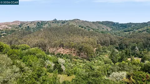 Other - 281 Los Altos Dr, Kensington, CA 94708 photo 9 of 10