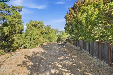 0 Hamlin Rd, Lafayette, CA 94549 photo 6