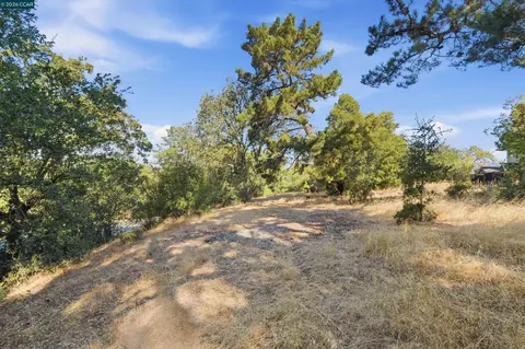 0 Hamlin Rd, Lafayette, CA 94549 photo 9