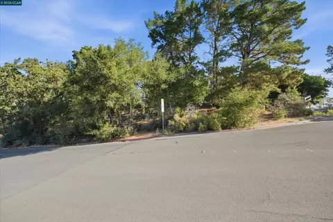 0 Hamlin Rd, Lafayette, CA 94549 photo 22