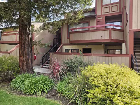 Exterior - 247 E Warren Cmn, Fremont, CA 94539 photo 2 of 14