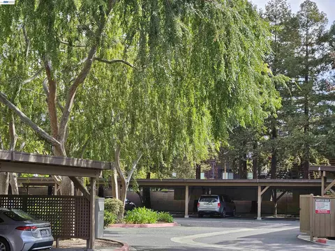 Exterior - 247 E Warren Cmn, Fremont, CA 94539 photo 13 of 14