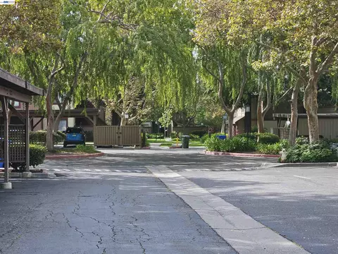 Exterior - 247 E Warren Cmn, Fremont, CA 94539 photo 14 of 14