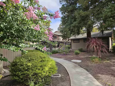 Exterior - 247 E Warren Cmn, Fremont, CA 94539 photo 10 of 14